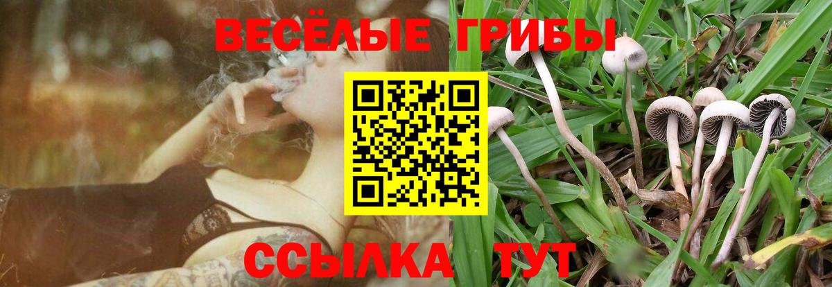 Псилоцибиновые грибы Cubensis Заинск
