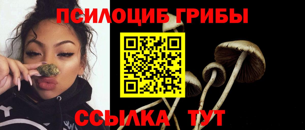 Галлюциногенные грибы мицелий  Вход с VPN  Заинск 